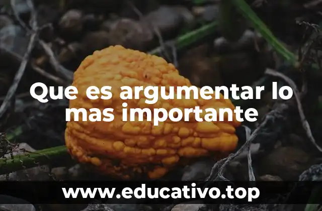 Que es argumentar lo mas importante