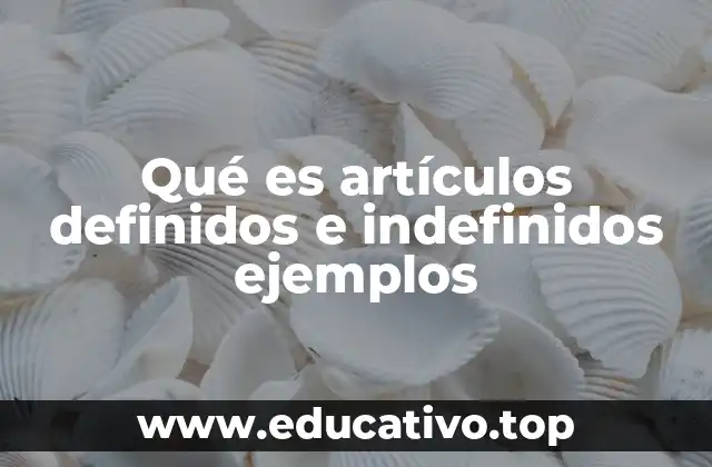 Qué es artículos definidos e indefinidos ejemplos