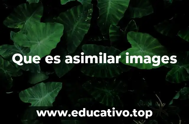 Que es asimilar images