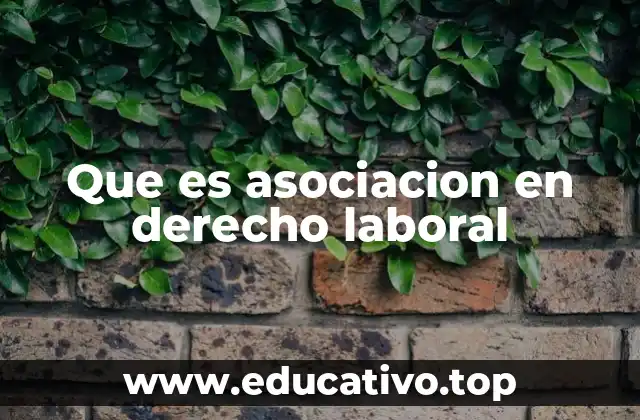 La importancia de la organización colectiva en el entorno laboral