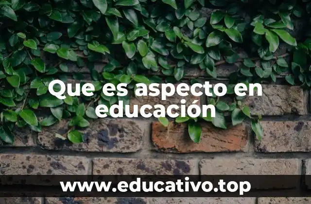 Que es aspecto en educación