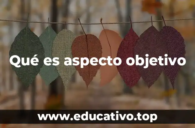 Qué es aspecto objetivo