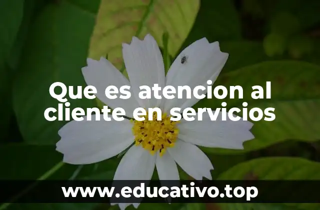 Que es atencion al cliente en servicios