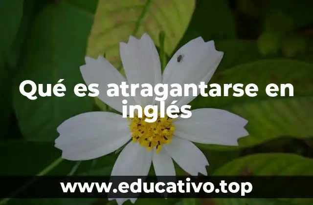 Qué es atragantarse en inglés