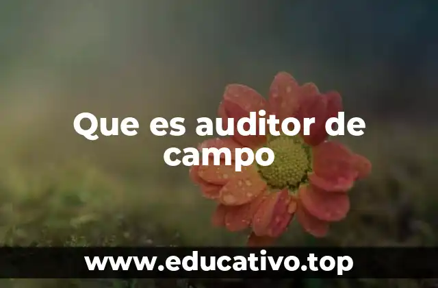 Que es auditor de campo