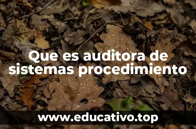 Que es auditora de sistemas procedimiento