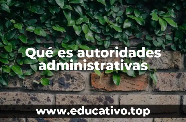 Qué es autoridades administrativas