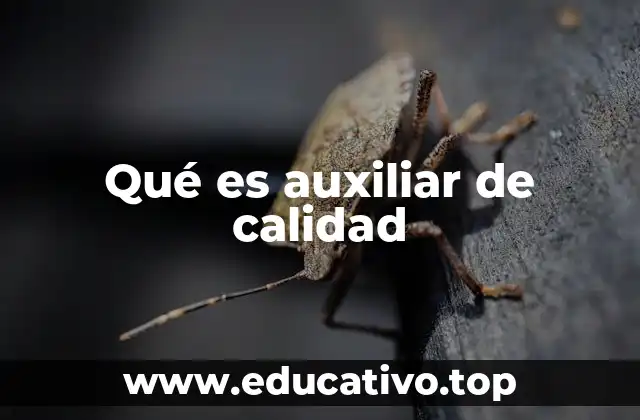 Qué es auxiliar de calidad