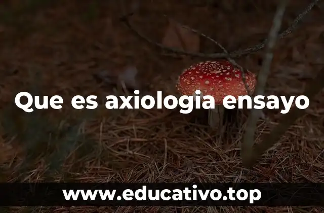 La importancia de los valores en la construcción del pensamiento filosófico