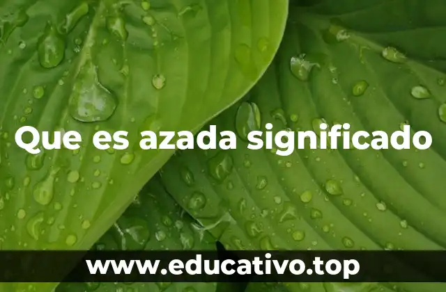Que es azada significado
