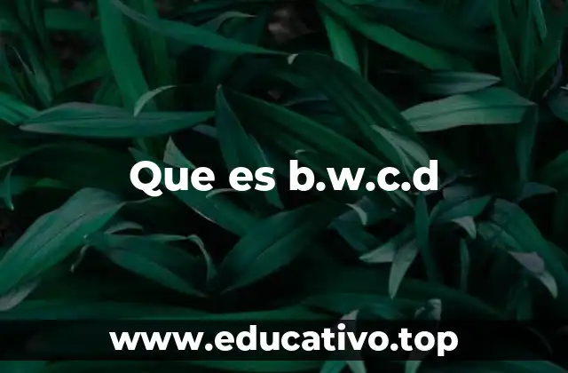 Que es b.w.c.d