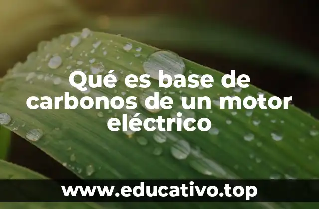 Qué es base de carbonos de un motor eléctrico