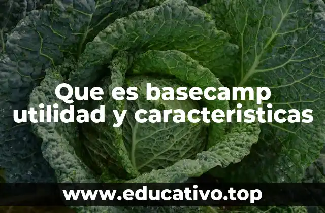 Que es basecamp utilidad y caracteristicas