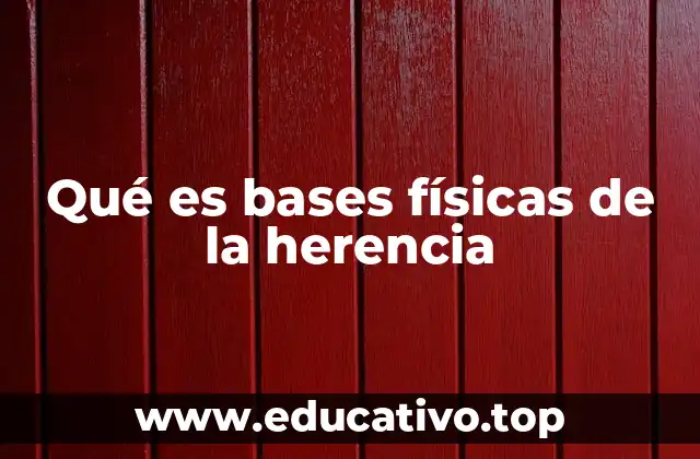 La estructura molecular detrás de la transmisión genética