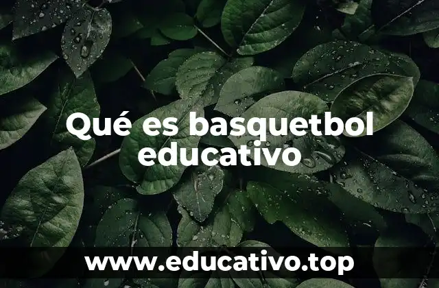 Qué es basquetbol educativo