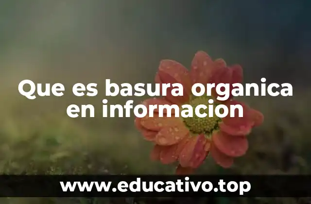 El impacto de la información no verificada en la era digital