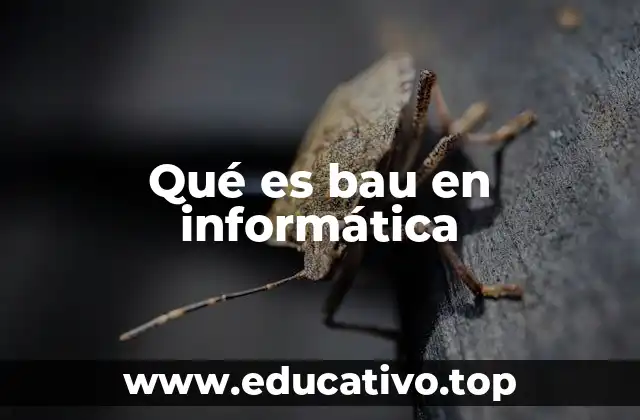 Qué es bau en informática