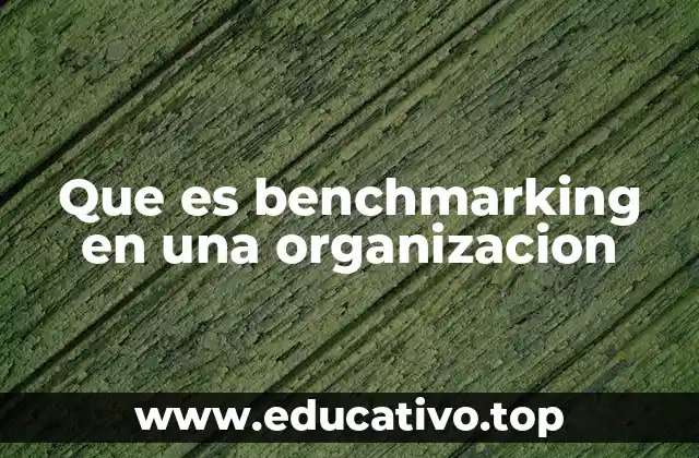 Que es benchmarking en una organizacion