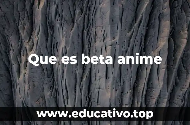 Que es beta anime