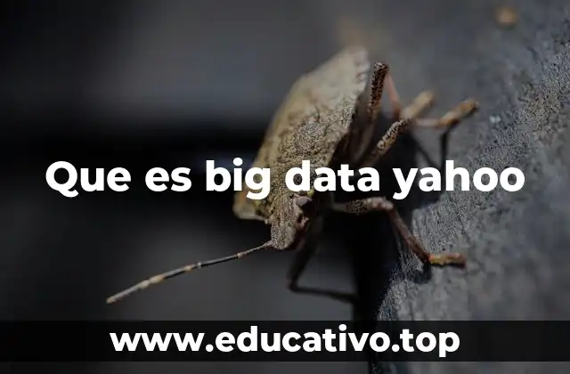 Que es big data yahoo