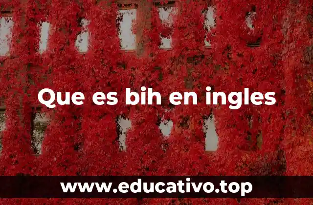 Que es bih en ingles