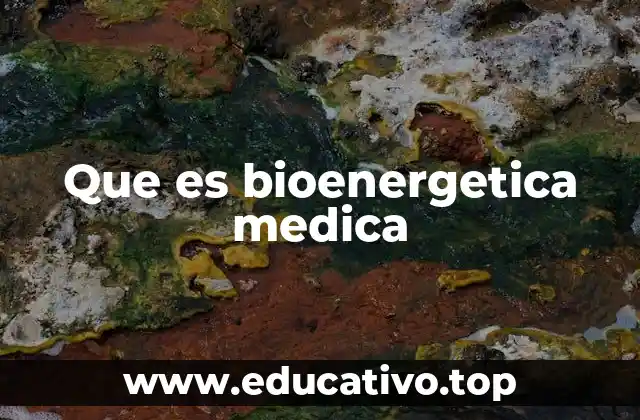 Que es bioenergetica medica