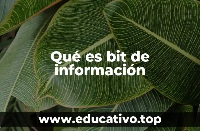 Qué es bit de información