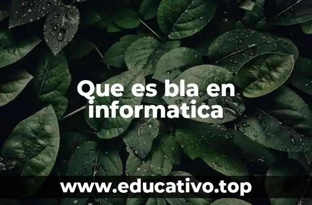 Que es bla en informatica