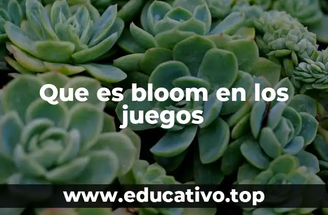 Que es bloom en los juegos