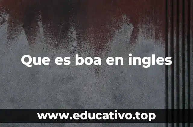 Que es boa en ingles