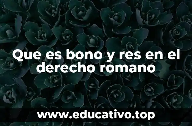 Que es bono y res en el derecho romano