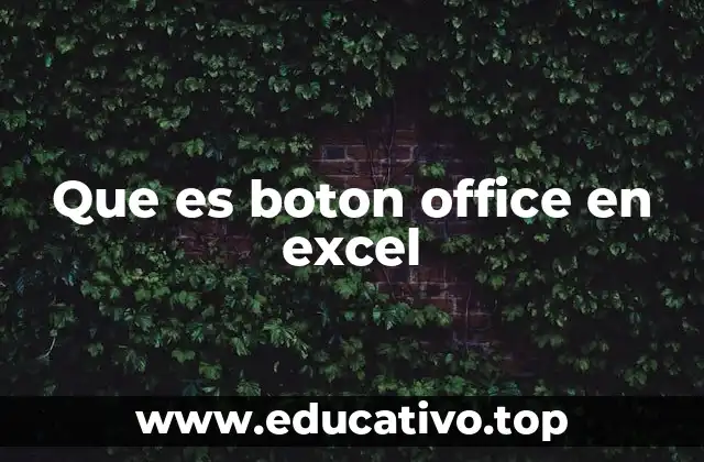 Que es boton office en excel