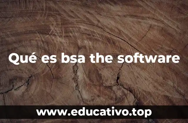 Qué es bsa the software