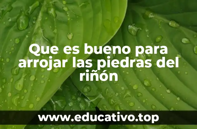 Remedios naturales para facilitar la salida de cálculos renales