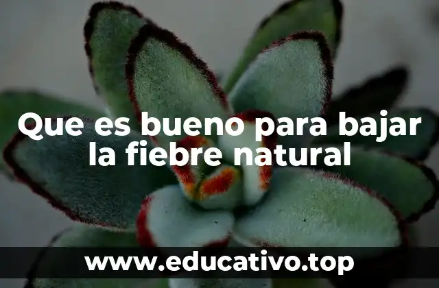 Que es bueno para bajar la fiebre natural