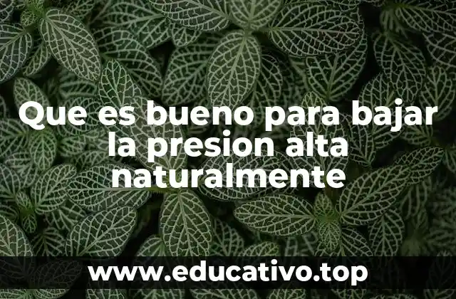 Que es bueno para bajar la presion alta naturalmente