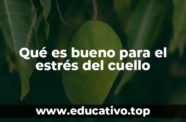 Qué es bueno para el estrés del cuello