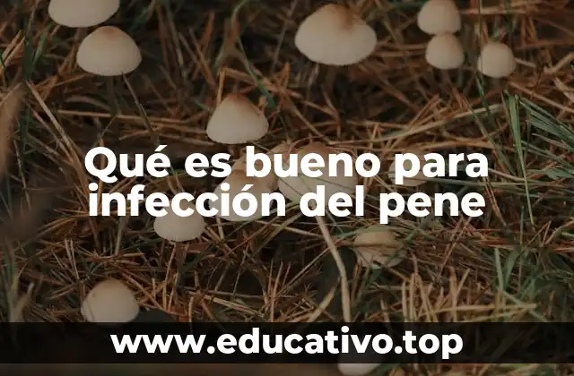 Qué es bueno para infección del pene