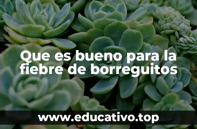 Que es bueno para la fiebre de borreguitos