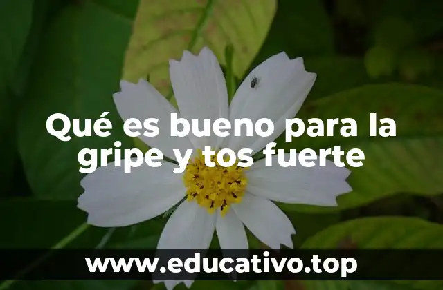 Qué es bueno para la gripe y tos fuerte