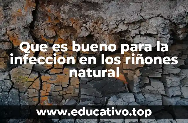 Que es bueno para la infeccion en los riñones natural