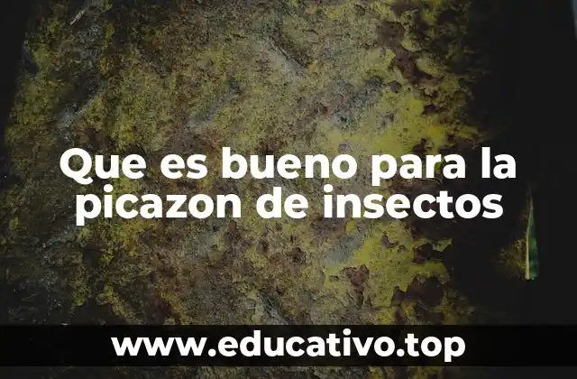 Tratamientos efectivos para aliviar el picor de insectos