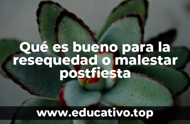 Cómo el descanso y el sueño pueden ayudar a recuperarte