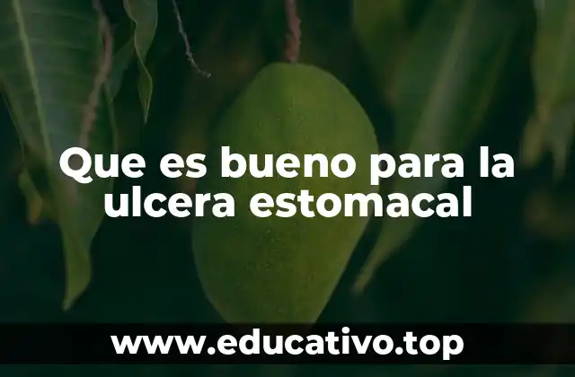 Que es bueno para la ulcera estomacal