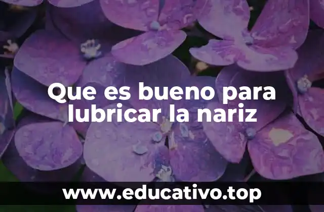 Que es bueno para lubricar la nariz
