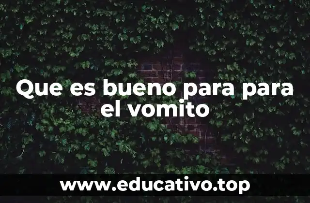 Remedios naturales para aliviar el malestar estomacal