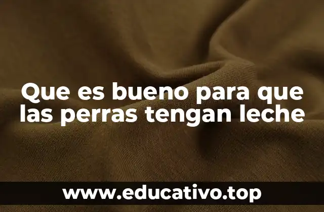 Cómo apoyar la lactancia en las perras mediante suplementos naturales