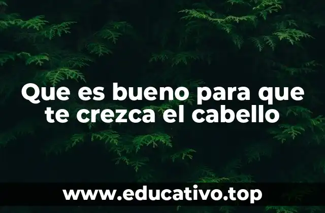 Que es bueno para que te crezca el cabello