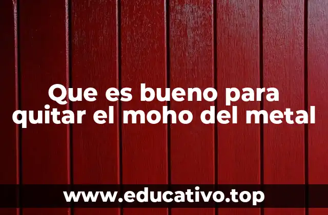 Cómo identificar y prevenir el moho en superficies metálicas