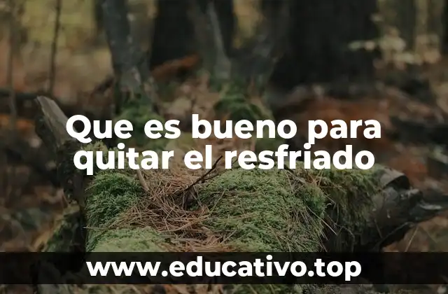 Cómo el cuerpo responde al resfriado y qué ayuda a combatirlo